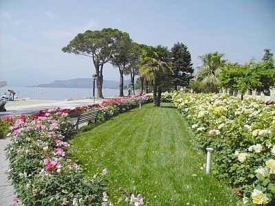 This house is ideal for a relaxing holiday, just 100 meters from the lake and the swimming beach. The heart of the historic center of Lazise is within walking distance.

Lazise overlooks Lake Garda with an enchanting port, well connected to various locations by a hydrofoil and various ferries.